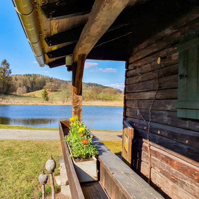Außenansicht des Ferienhauses mit Blick auf den Bach
