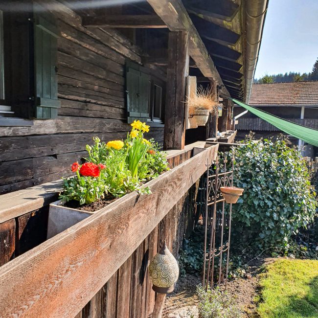Detailaufnahme von Blumen im Balkon des Ferienhauses